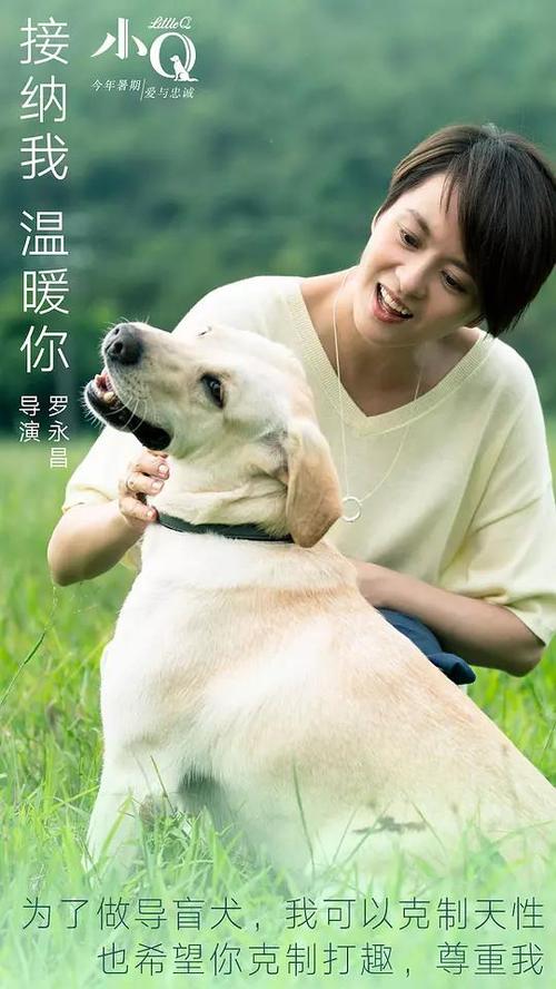 密西沙加（Mississauga）假证办理